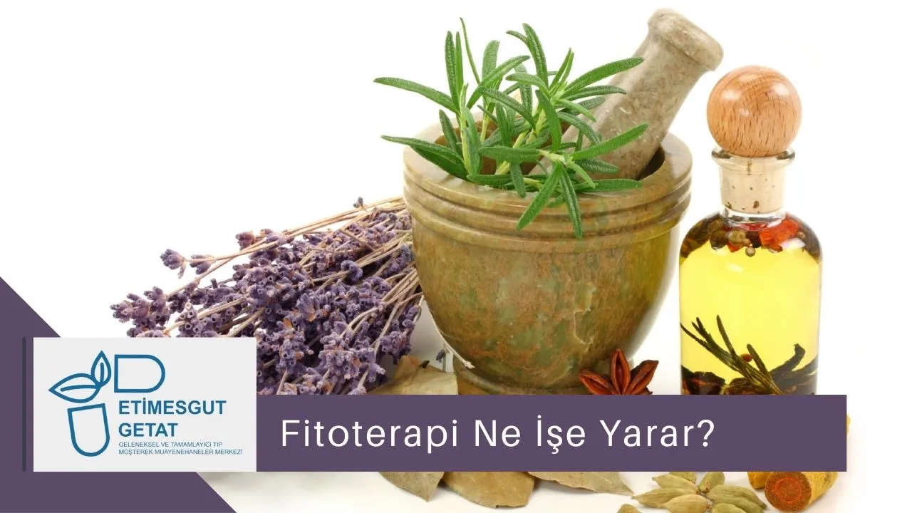 Fitoterapi Ne İşe Yarar?