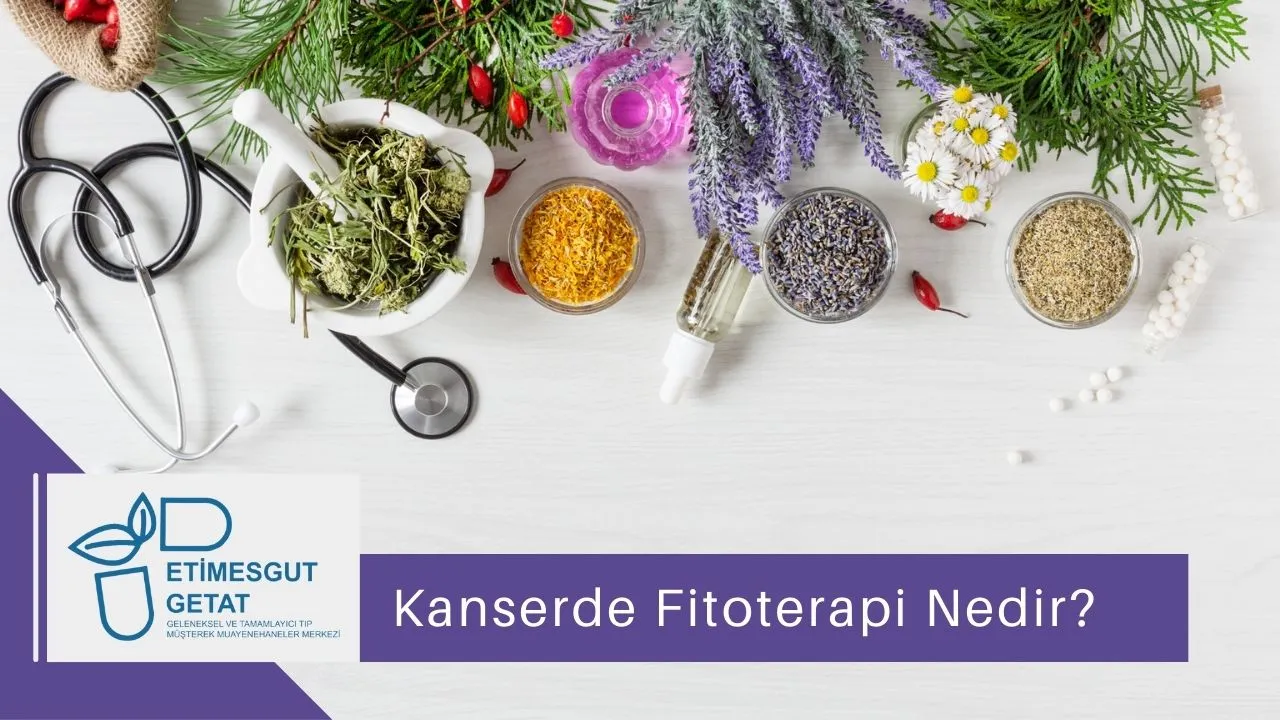 Kanserde Fitoterapi Nedir?