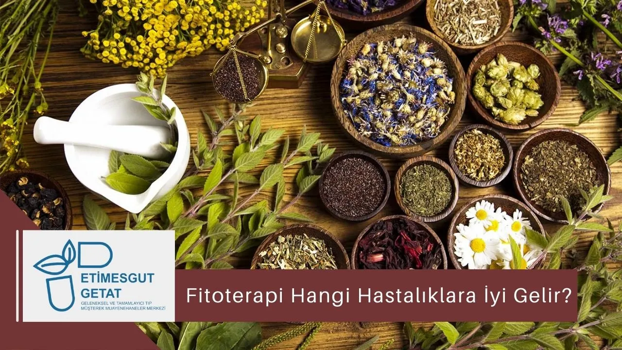 Fitoterapi Hangi Hastalıklara İyi Gelir?