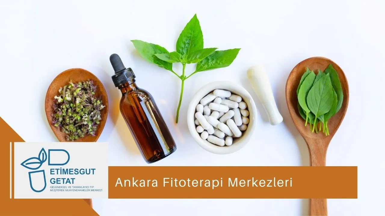 Ankara Fitoterapi Merkezleri